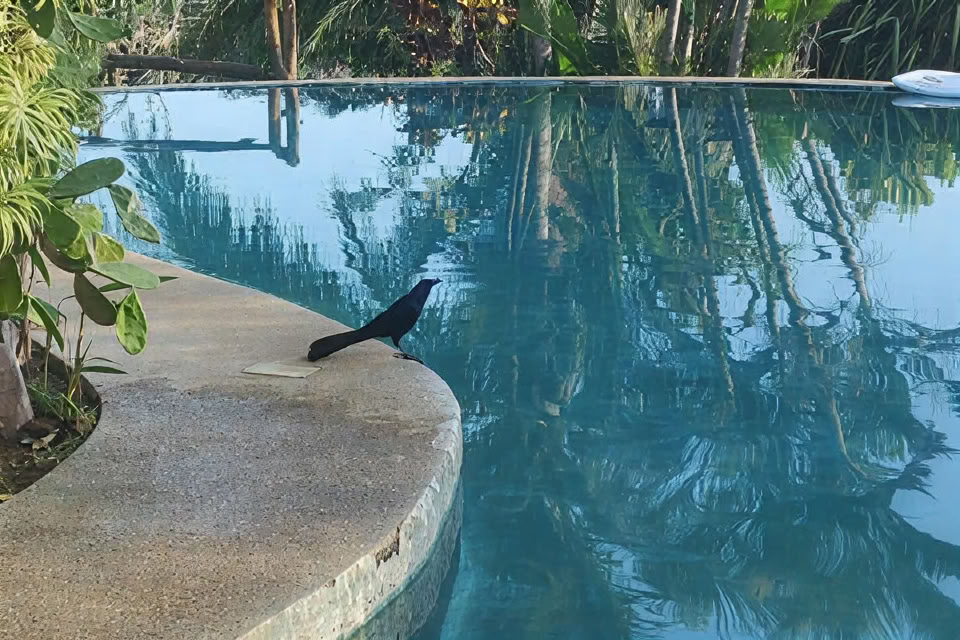 8-Days Yoga & Meditation Retreat