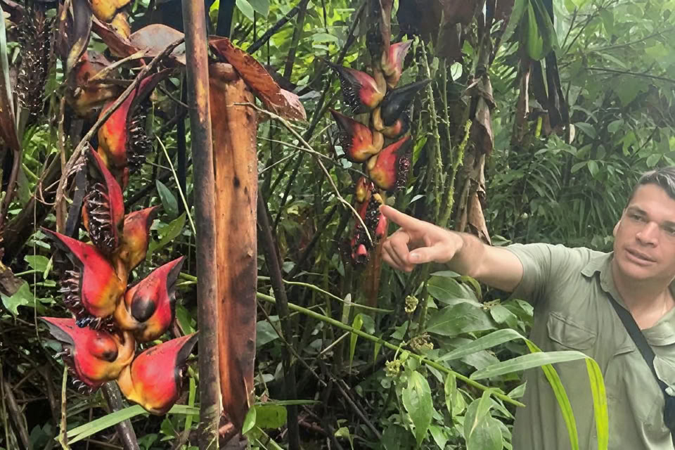 5-Day /4 Night Yoga & Meditation Retreat in Tamarindo, Costa Rica