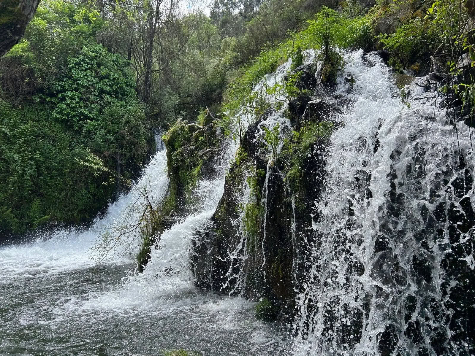 Heartful Yoga, Mindfullness and Walking Retreat