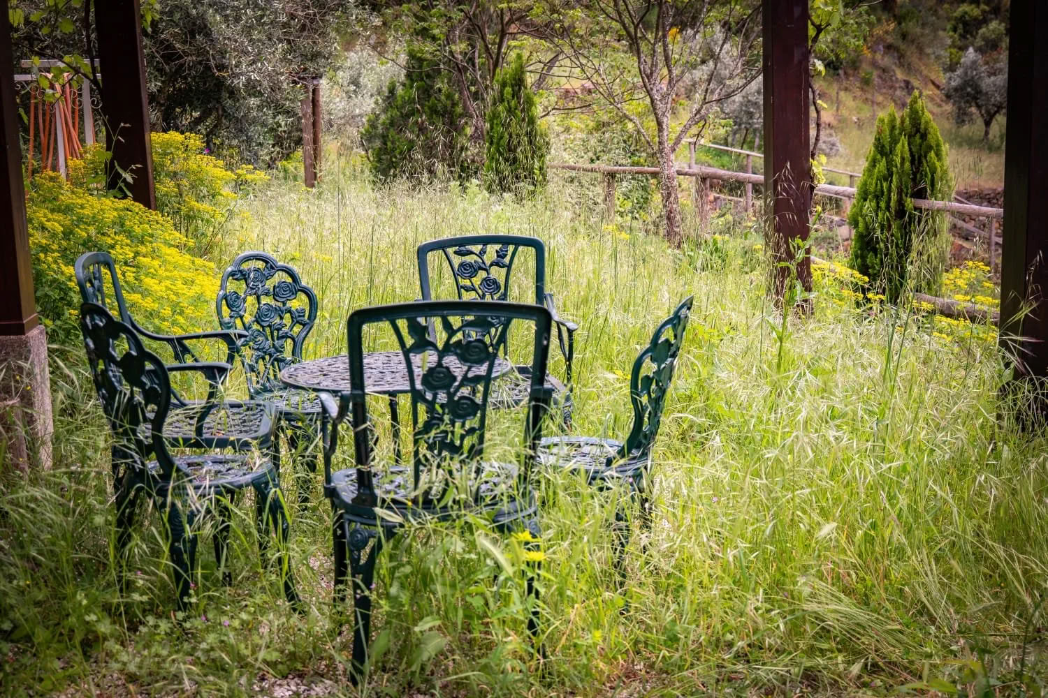 Heartful Yoga, Mindfullness and Walking Retreat