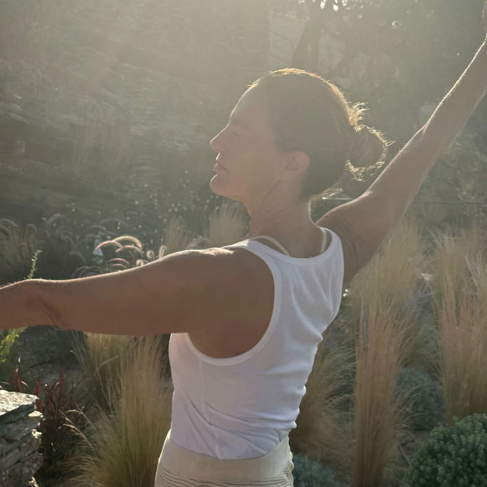 Root to Rise: A Transformative Meditation Retreat