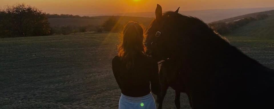 7-Day: Harmonic Hooves: A Symphony of Spirit, Soil, and Steed