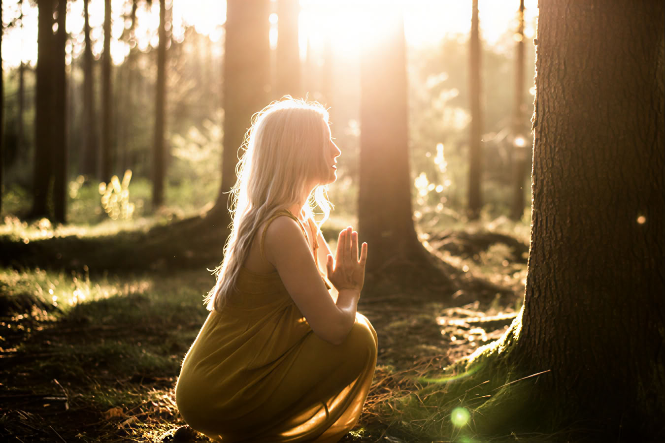 6-Day: Plant Medicine & Moon Forest Awakening. Reclaim your inner child in the wilds of Bulgaria.