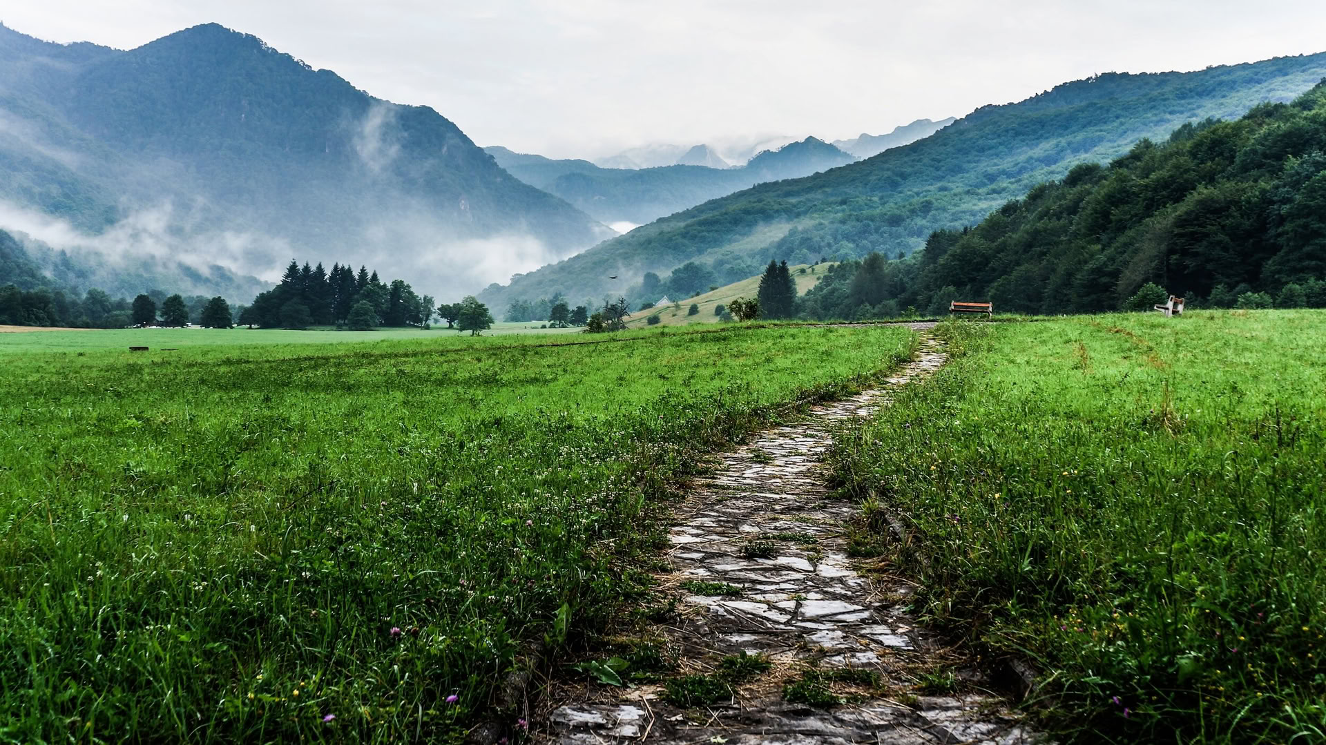 Awakening in Midlife