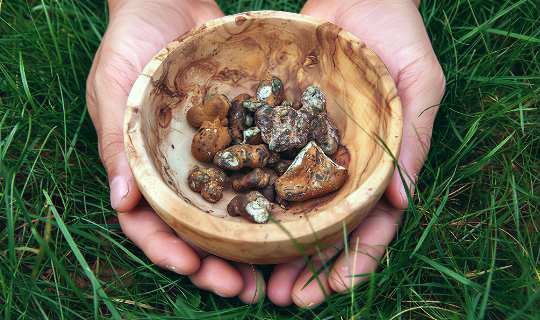 5-Day Psilocybin Retreat – 3 days - 17-19 July 2026