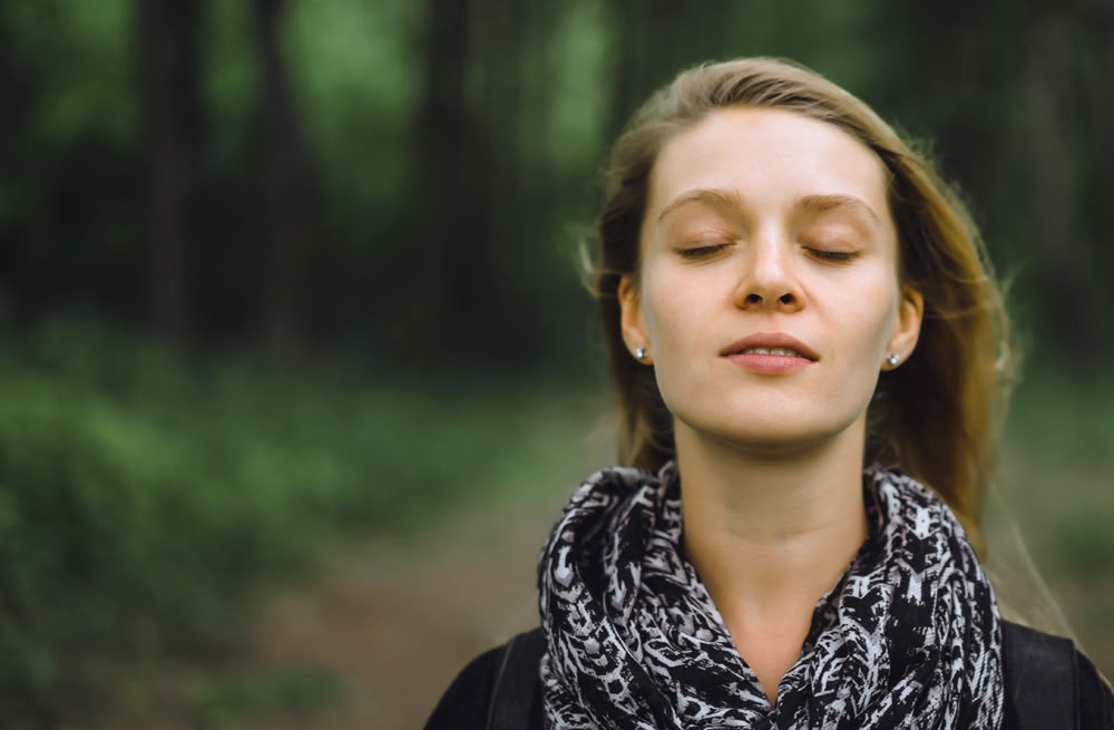 5-Day Psilocybin Retreat – 3 days - 23-25 Sept. 2026
