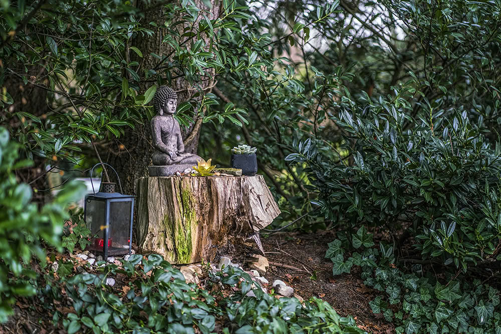 5-Day Psilocybin Retreat – 5 days - 21-25 Oct. 2026