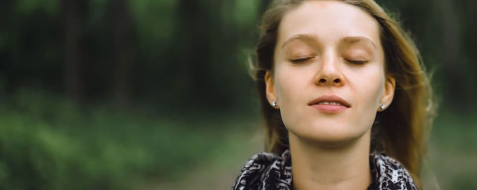 5-Day Psilocybin Retreat – 3 days - 27-29 Jan. 2027