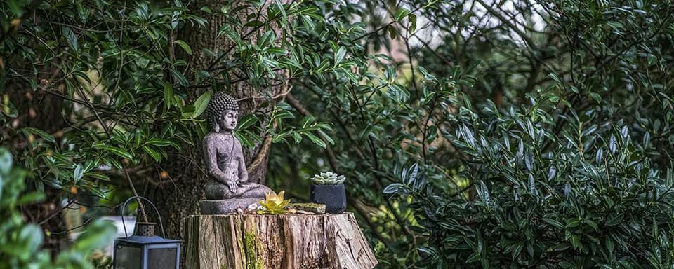 5-Day Psilocybin Retreat – 3 days - 17-19 Feb. 2027
