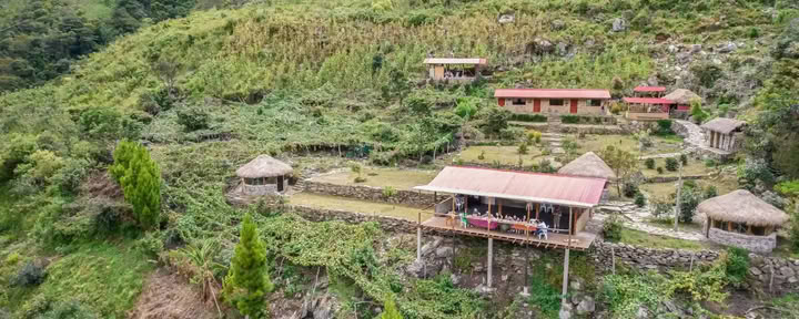 5-Day Ayahuasca Healing Retreat in Peru