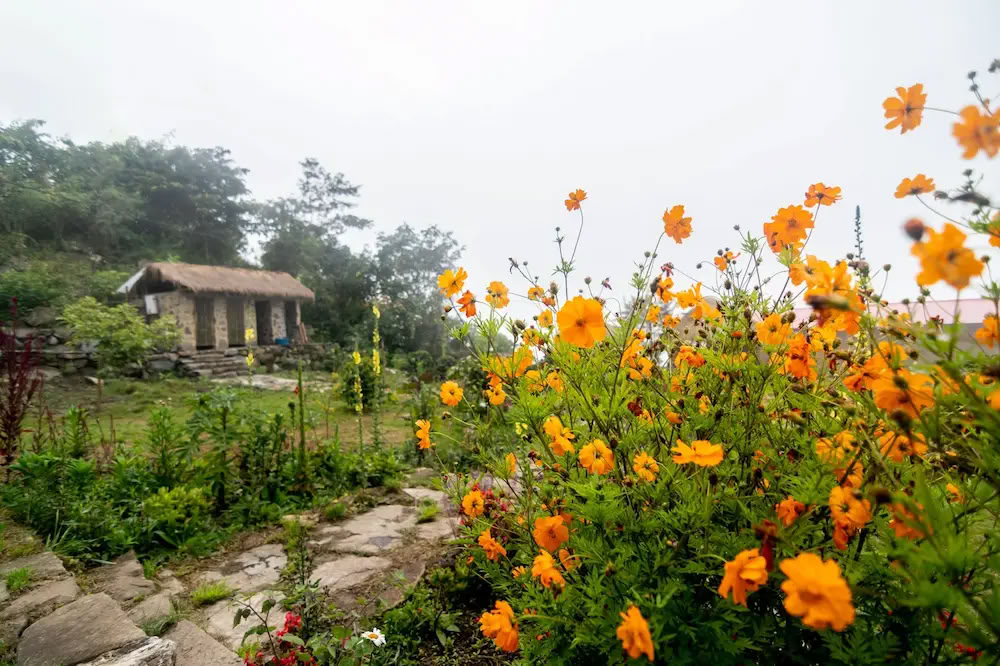 7-Day Ayahuasca Retreat + Classic Machu Picchu