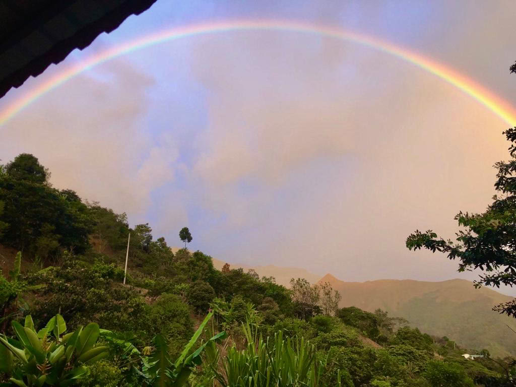 5-Day Ancestral Plant Medicine Retreat