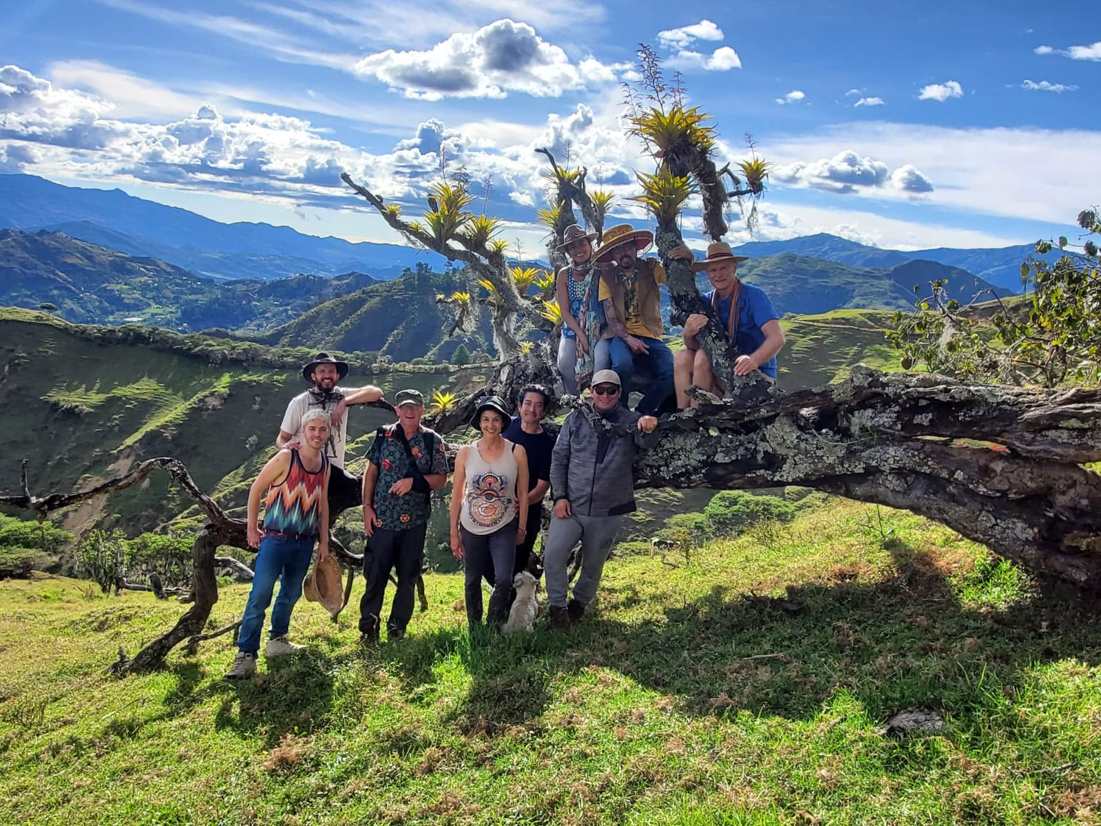 9-Day Ancestral Plant Medicine Retreat
