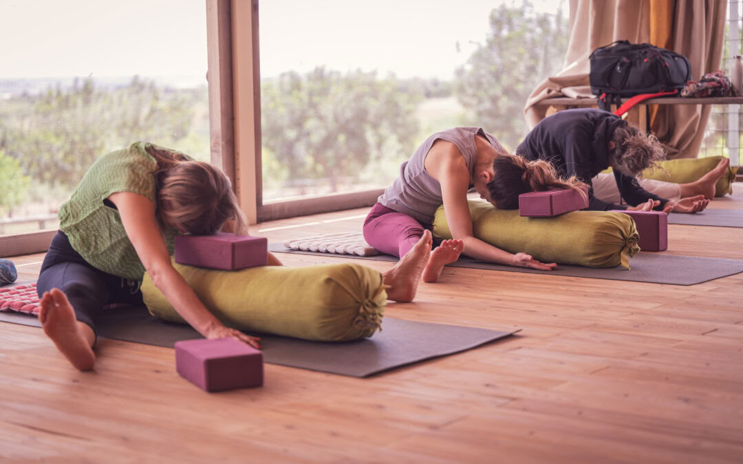 Scent of citrus Retreat - yoga&art jorney