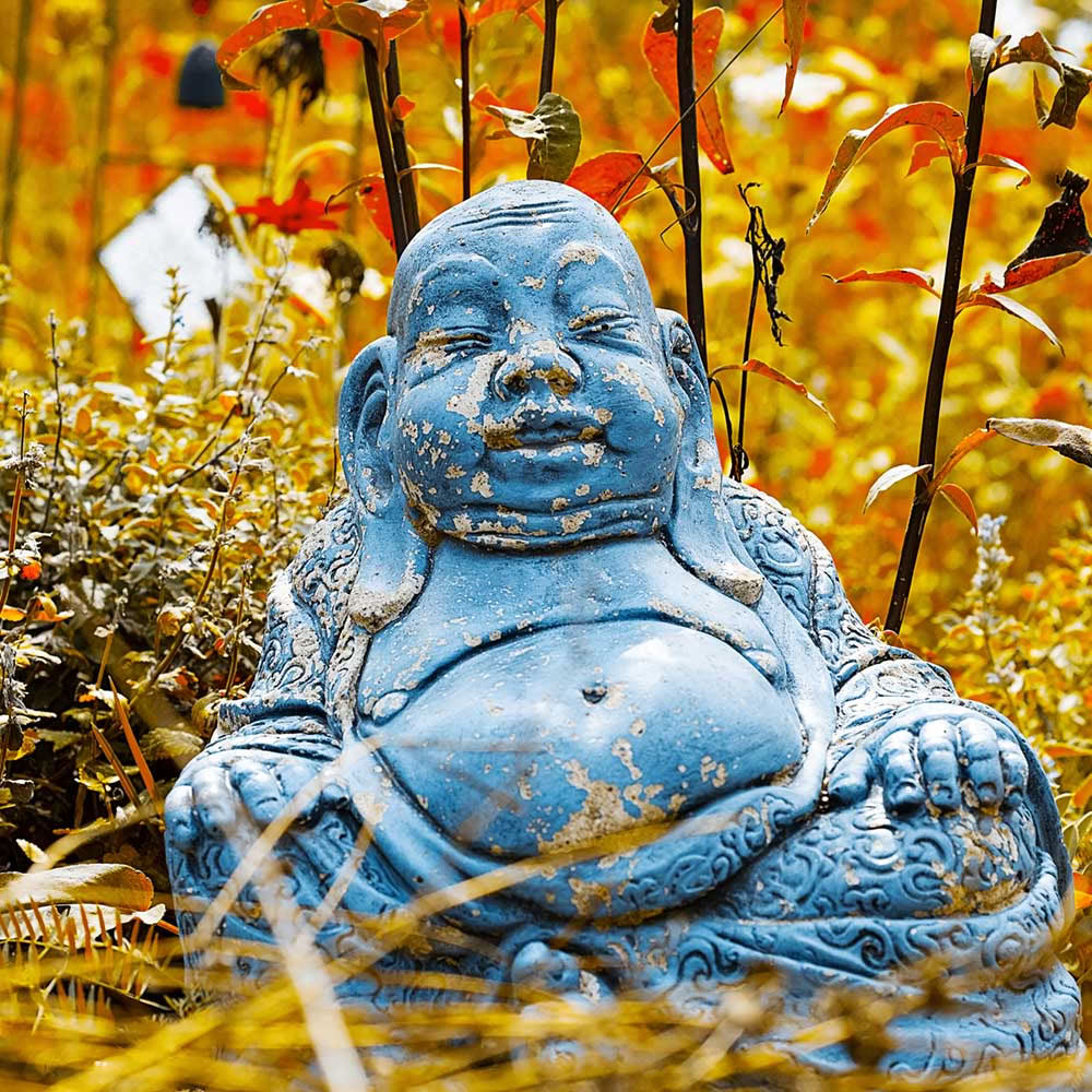 Mindfulness Meditation: An Introduction