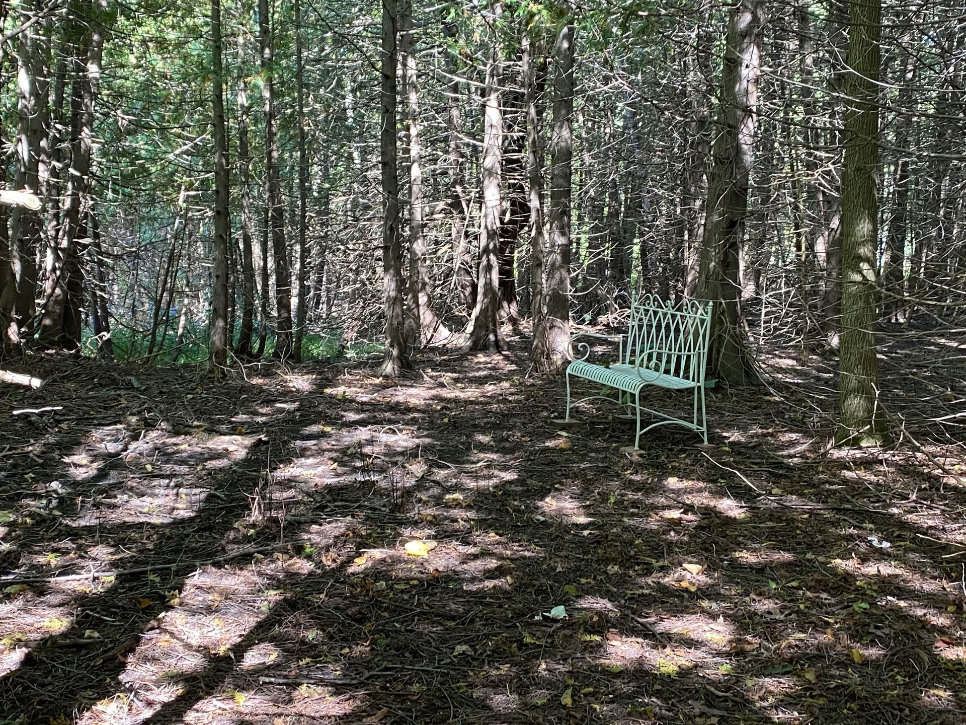Mindfulness Meditation: An Introduction