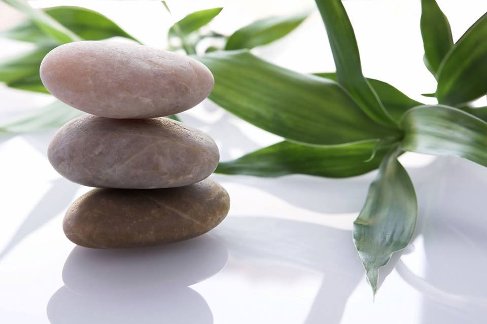 Mindfulness Meditation: A Day of Silence with Liz