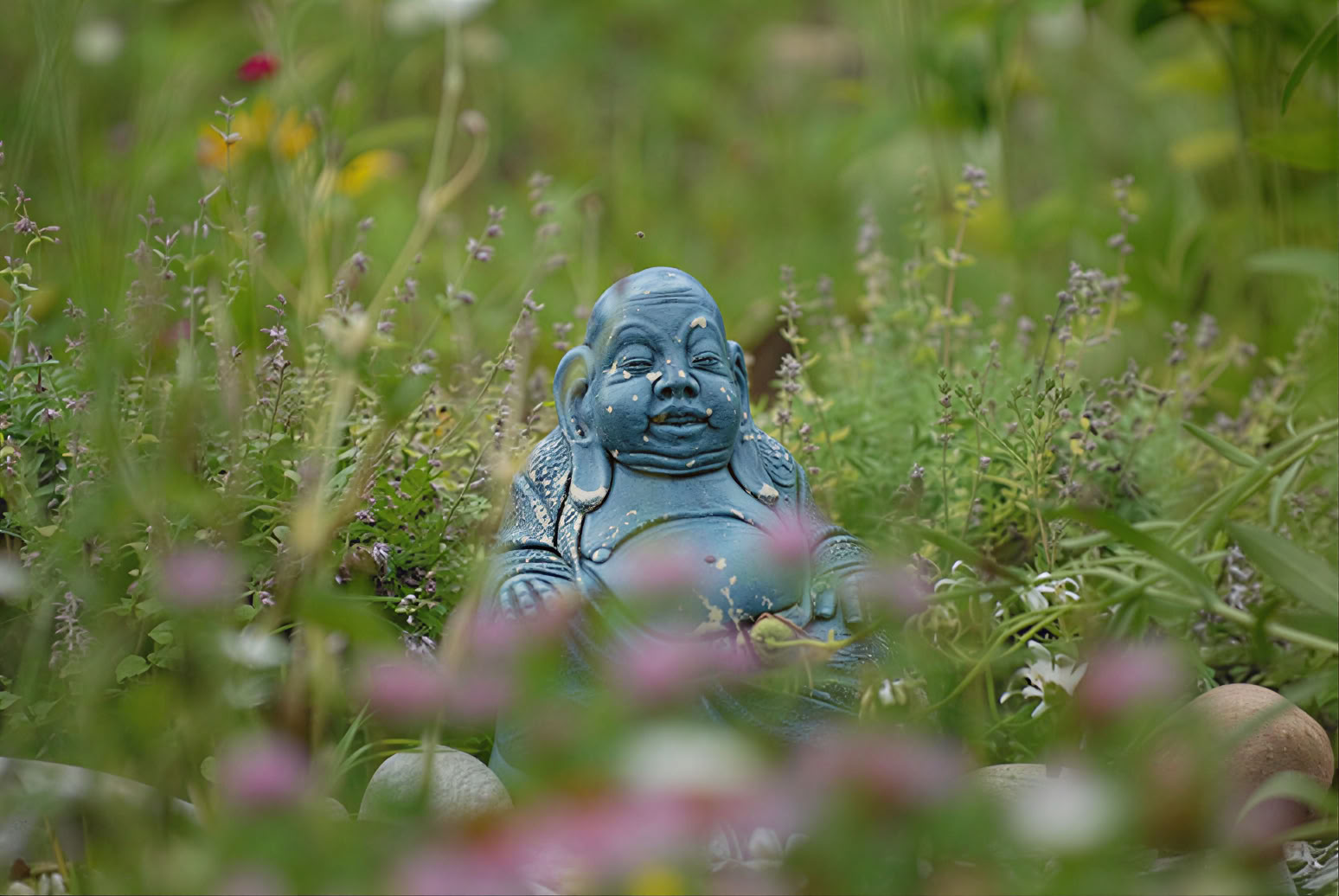 Silent Meditation Retreat with Liz Frost: 5 night stay