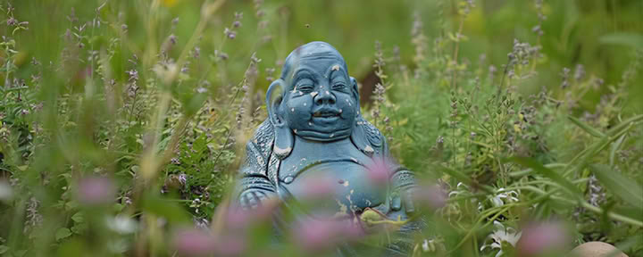 Silent Meditation Retreat with Liz Frost: 5 night stay