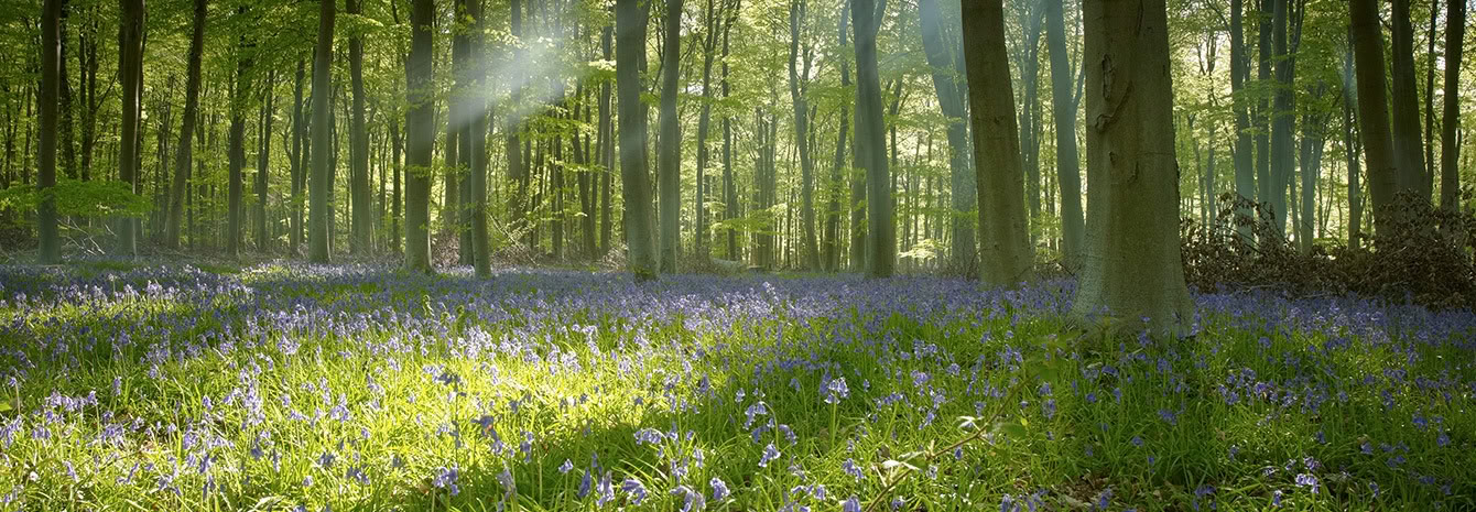 Pilates, Yoga, Nature and You: a Weekend Retreat