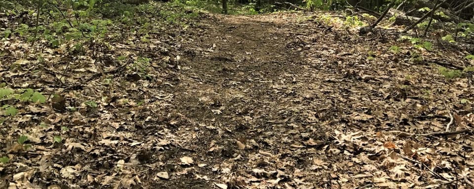 Summer Solstice Yoga & Hike Retreat