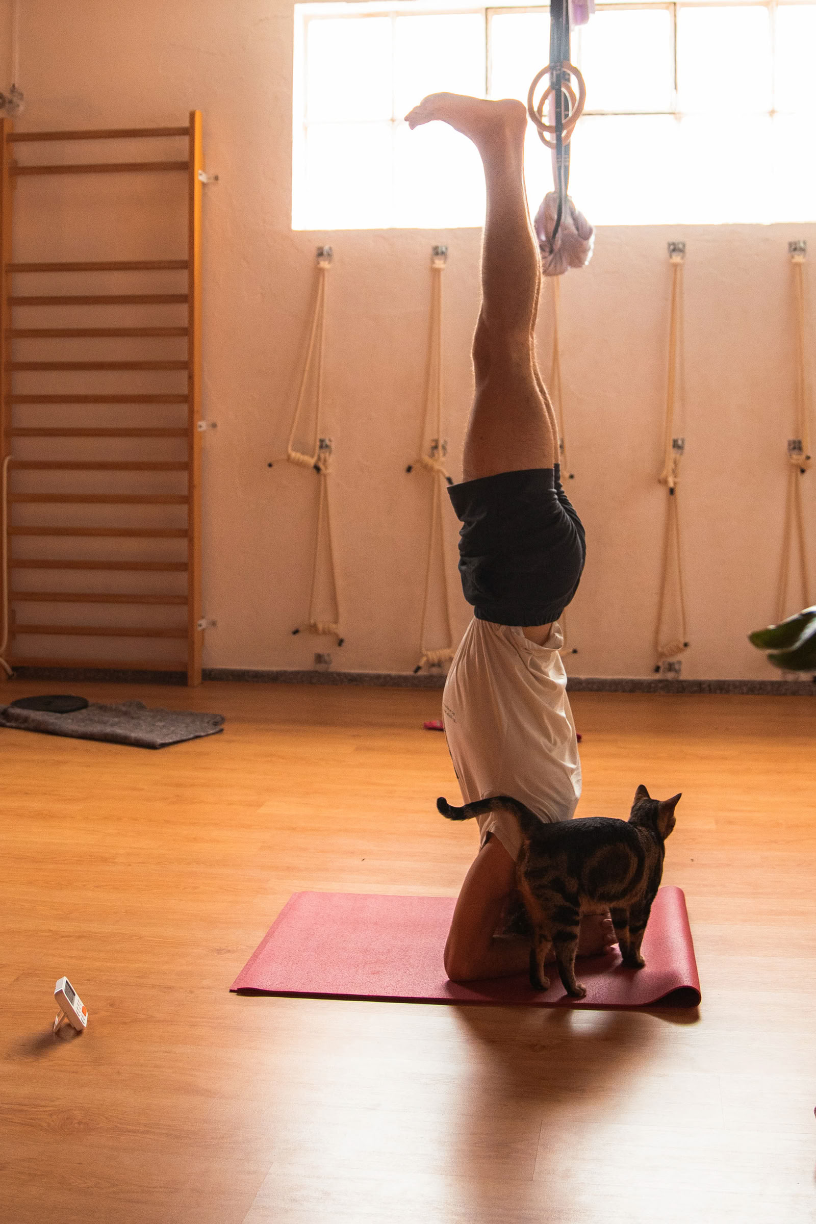 The secret life of fascia Workshop
