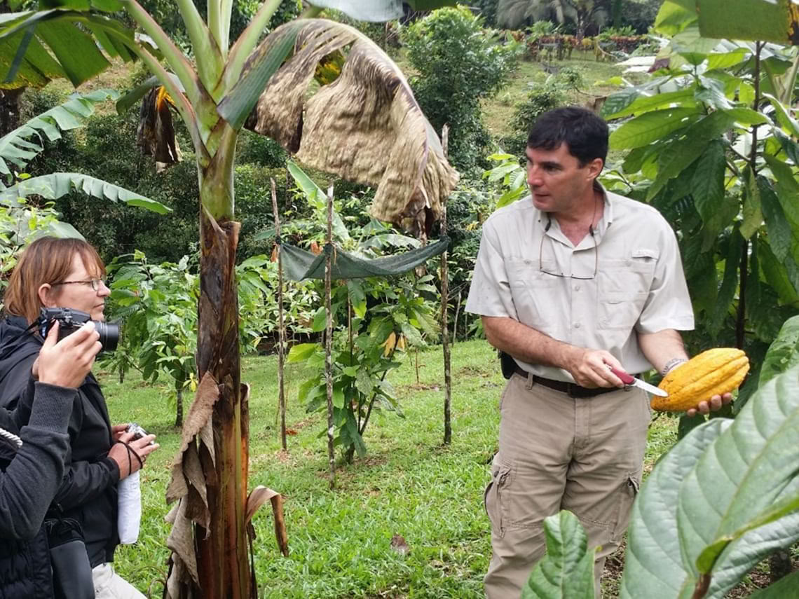 Las Natural Wonders of Bijagua (Hiking Adventure and Birdwatching)