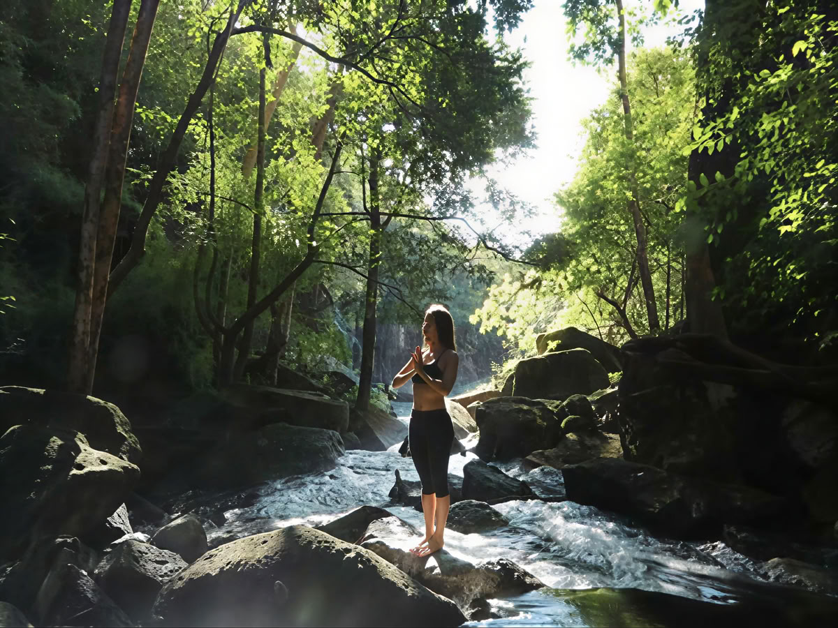 Las Natural Wonders of Bijagua (Hiking Adventure and Birdwatching)