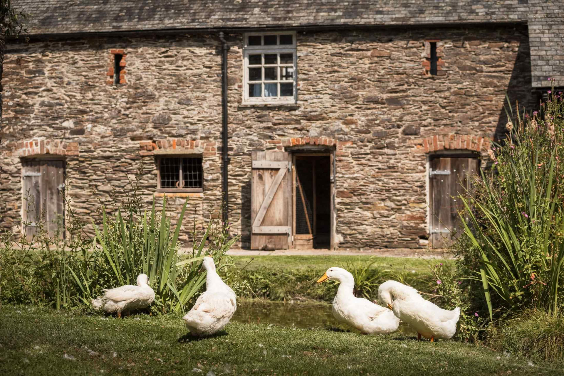 Sapphic Pilates Retreat