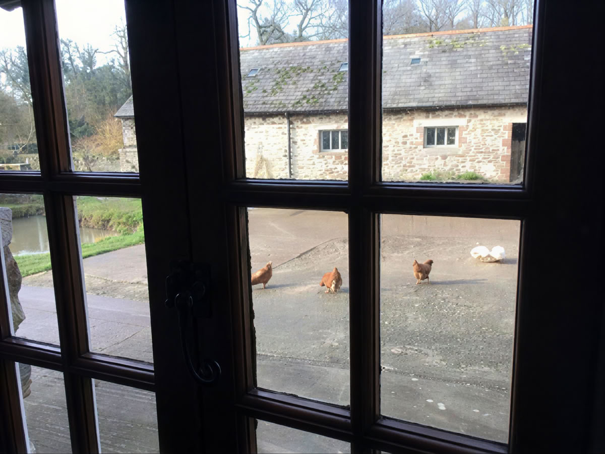 Reading Retreat – Dog Friendly - October '26