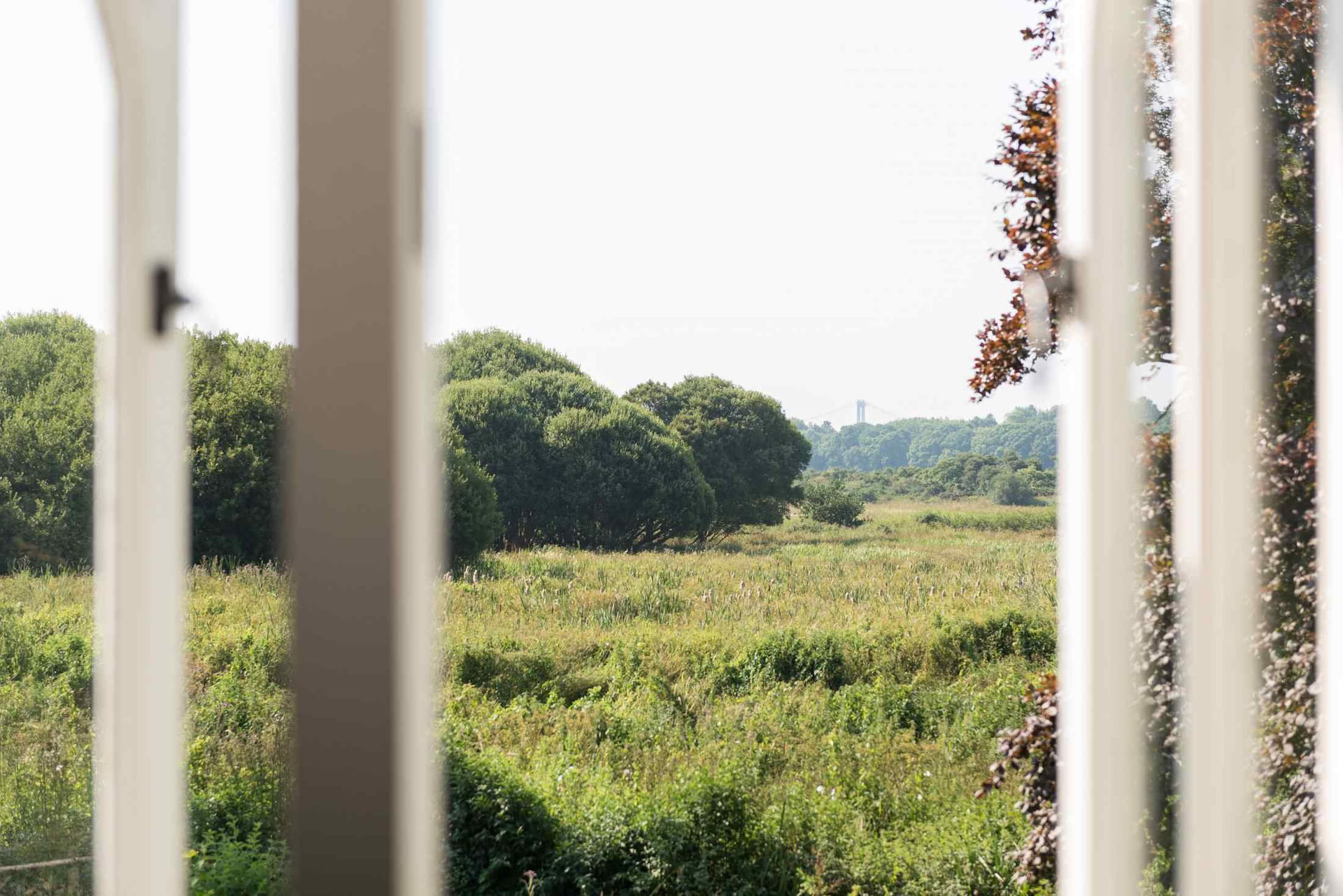 3-Night Festive Restorative Yoga Retreat with Michelle Spencer