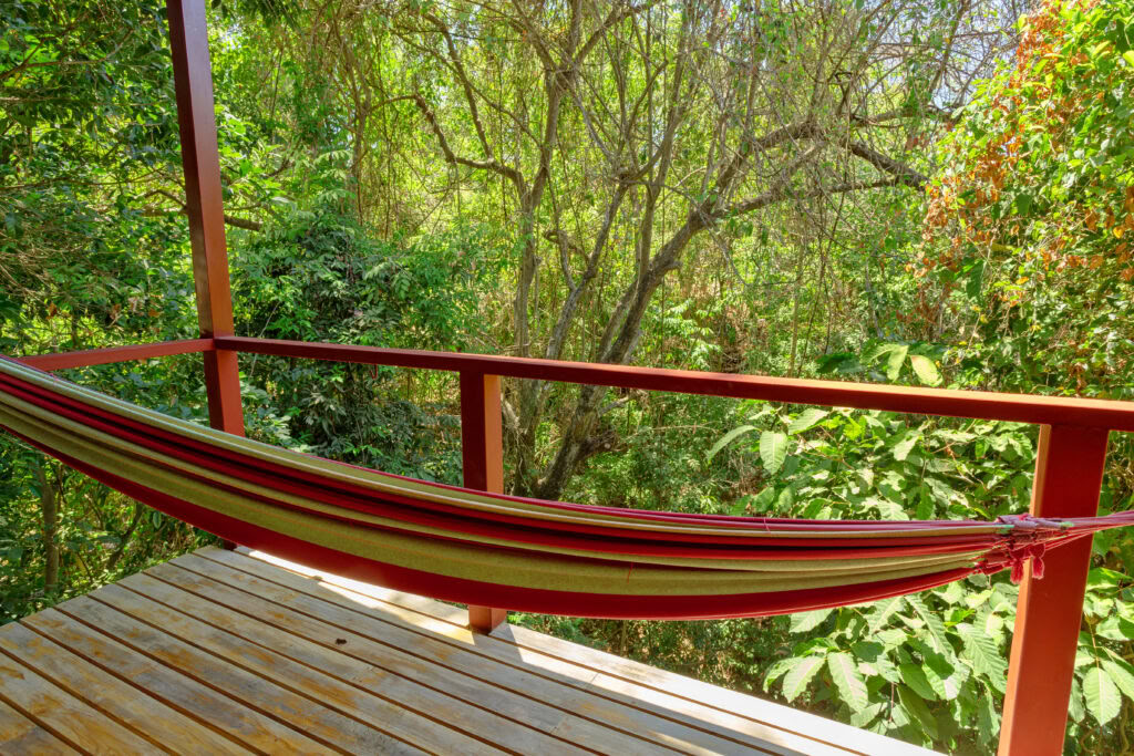 Ayurvedic Yoga Retreat – Chloe Haddad
