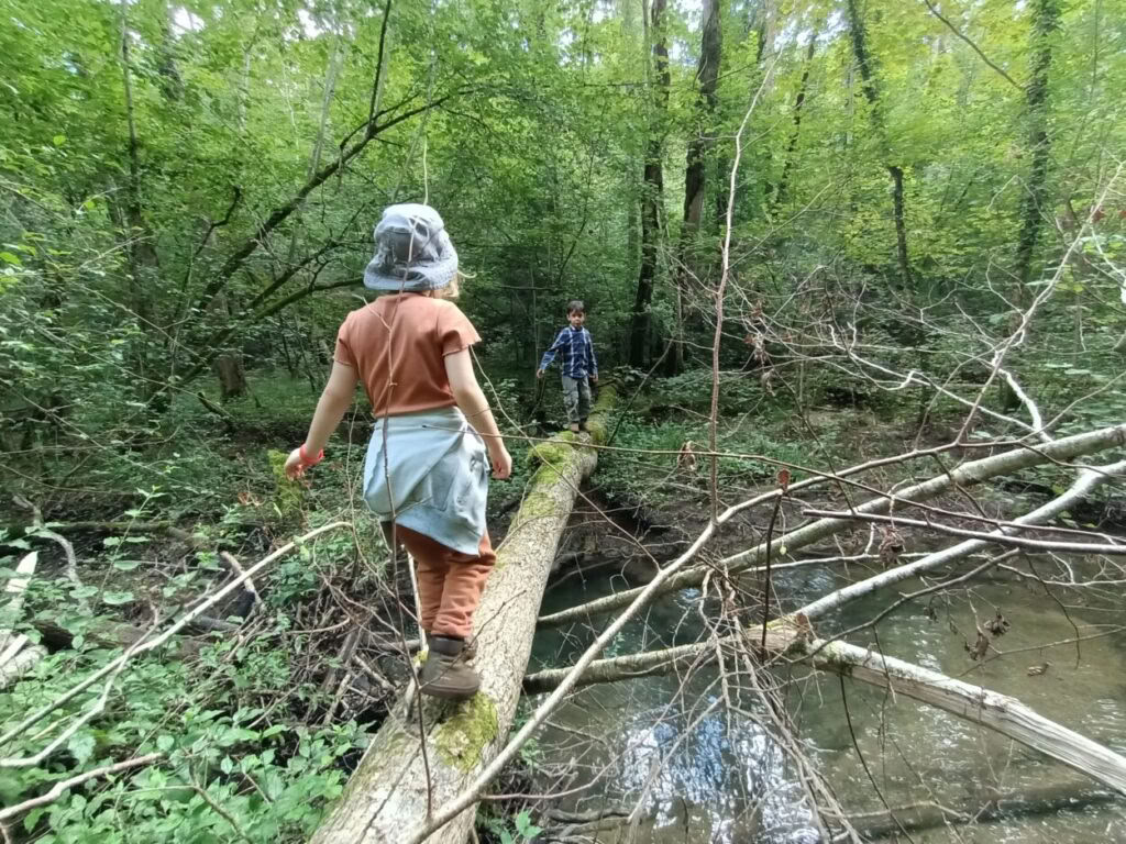 About Hobbits, Elves, Dwarfs, Humans and Wizards: Childrenweek with Richard