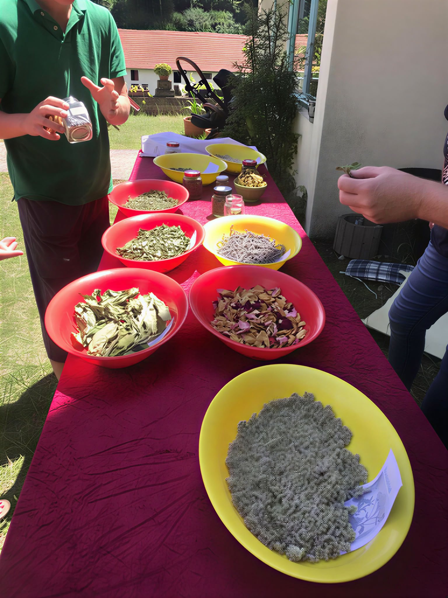 Ayurveda Wellness retreat