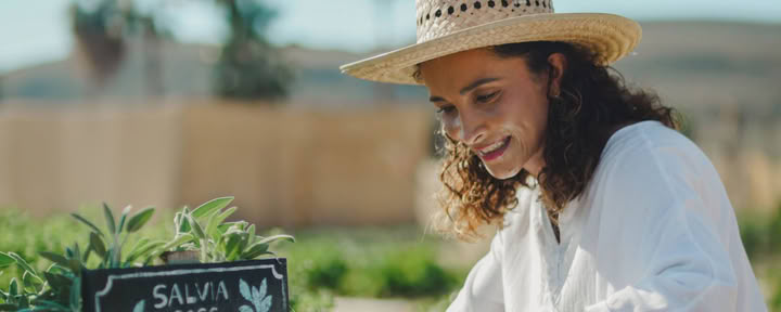 Learn to Farm