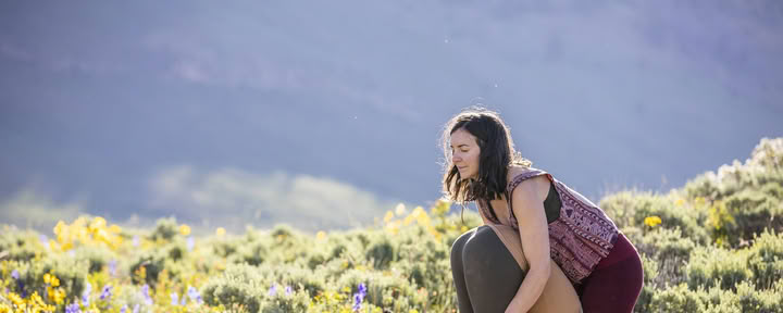 ReWild Wellness Package (3 sessions)