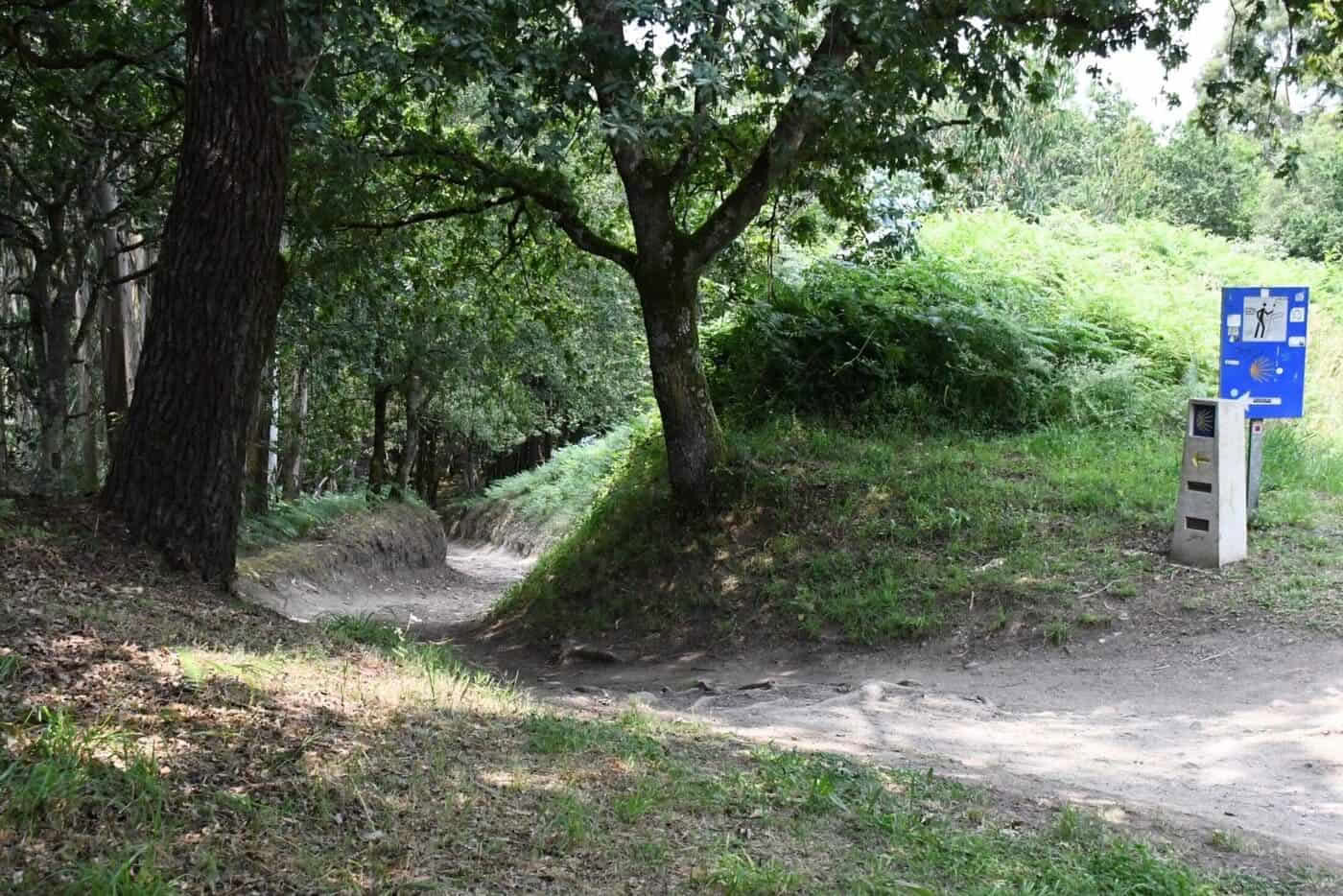 Portuguese Camino de Santiago from Tui in 5 stages, comfort class