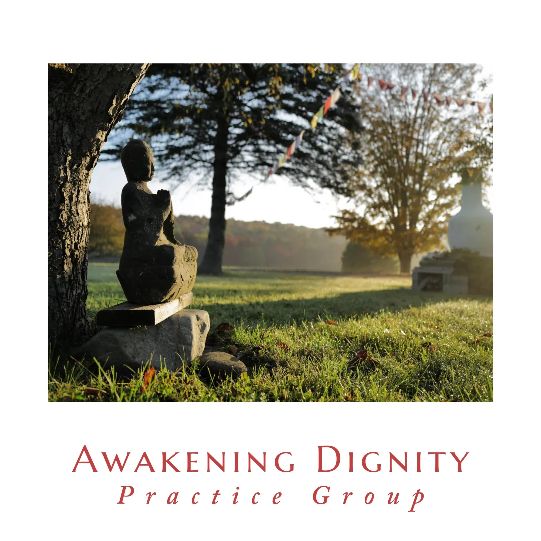 Samye Institute Awakening Dignity Course Practice Group