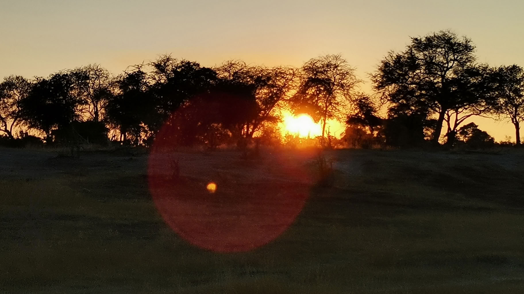 The Forgotten Art of Healing