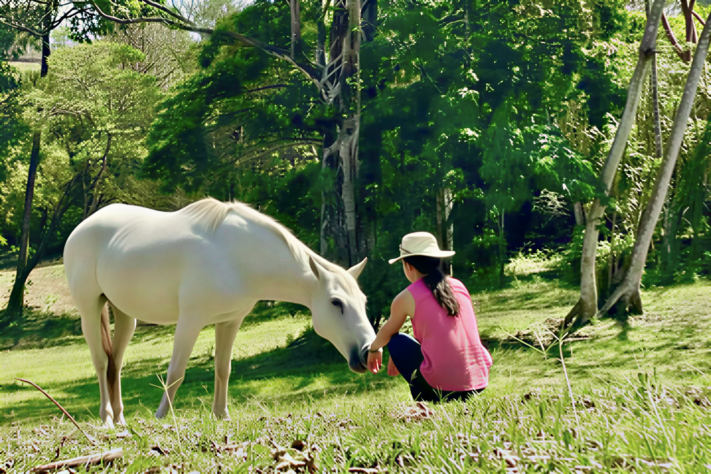 Unbridled Harmony