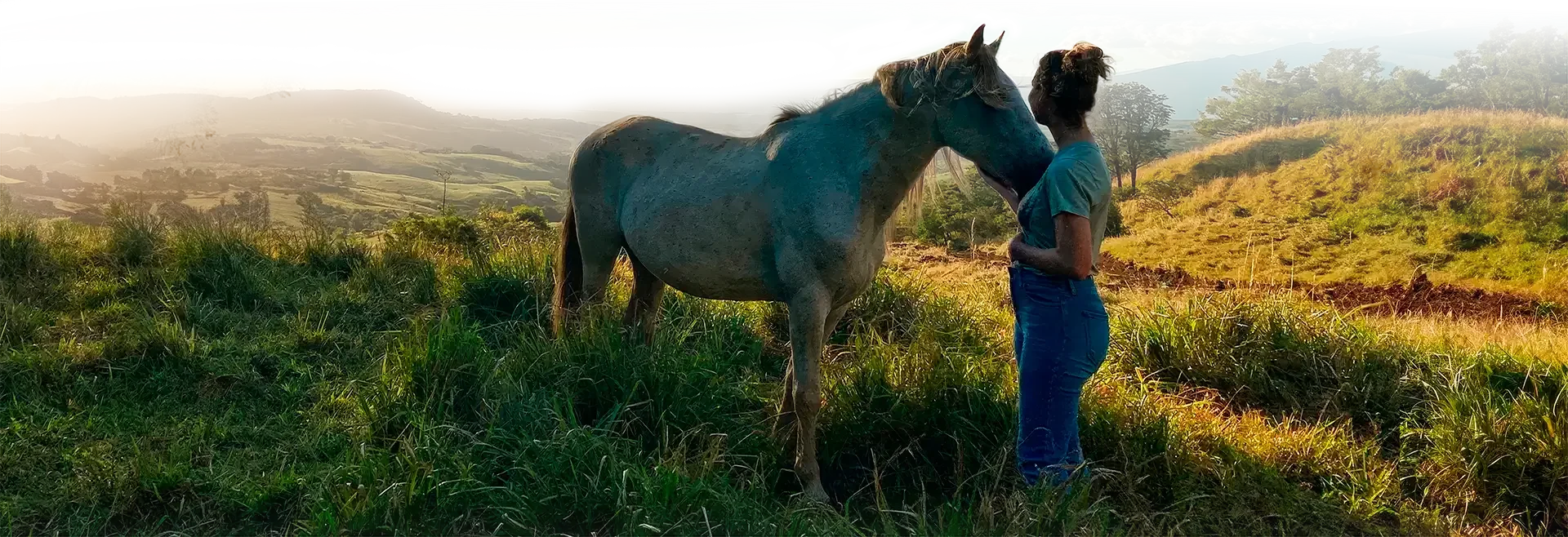 Heart Frequency Healing with Horses