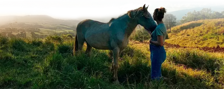 Heart Frequency Healing with Horses