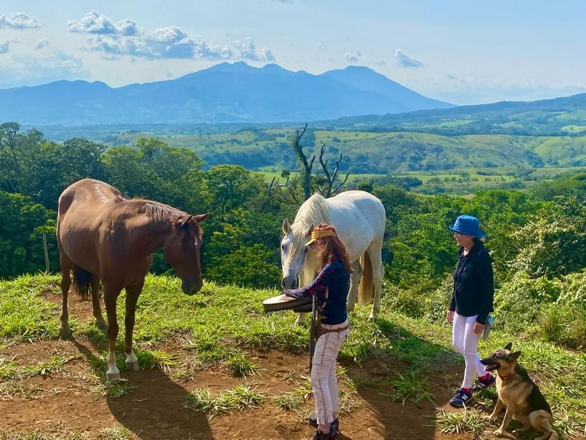 Constellations with Horses in Costa Rica 2026
