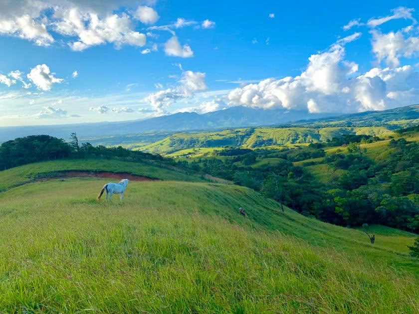 THE AWAKENING: Horse-riding and Life Coaching with Anna Twinney