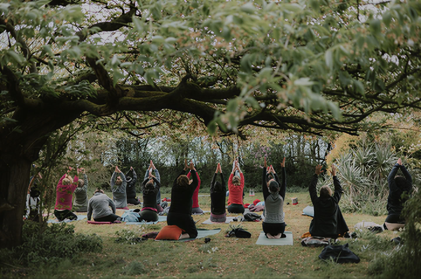 Yin Yang yoga with Molly