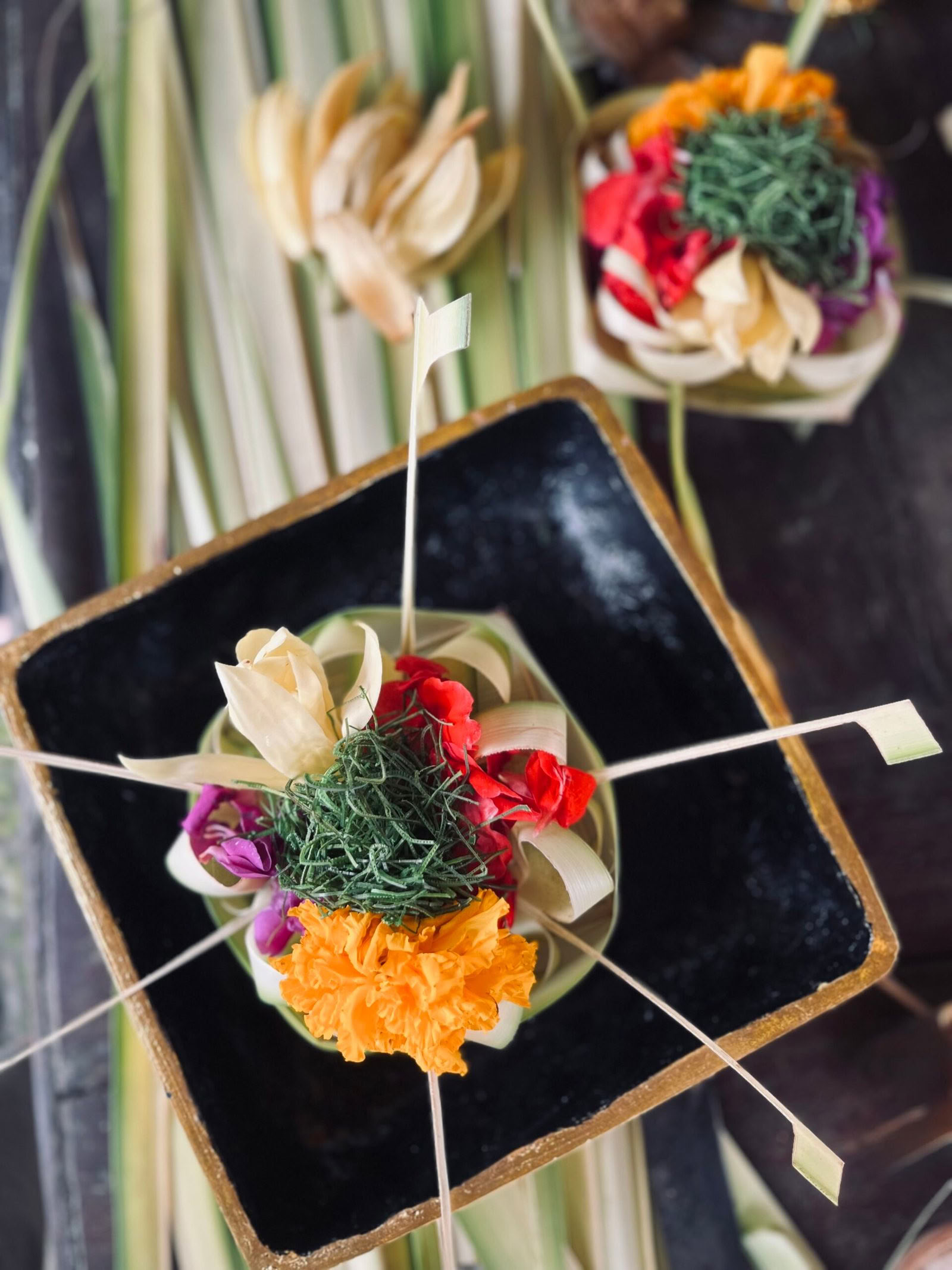 5 Day Balance Wellness Escape
