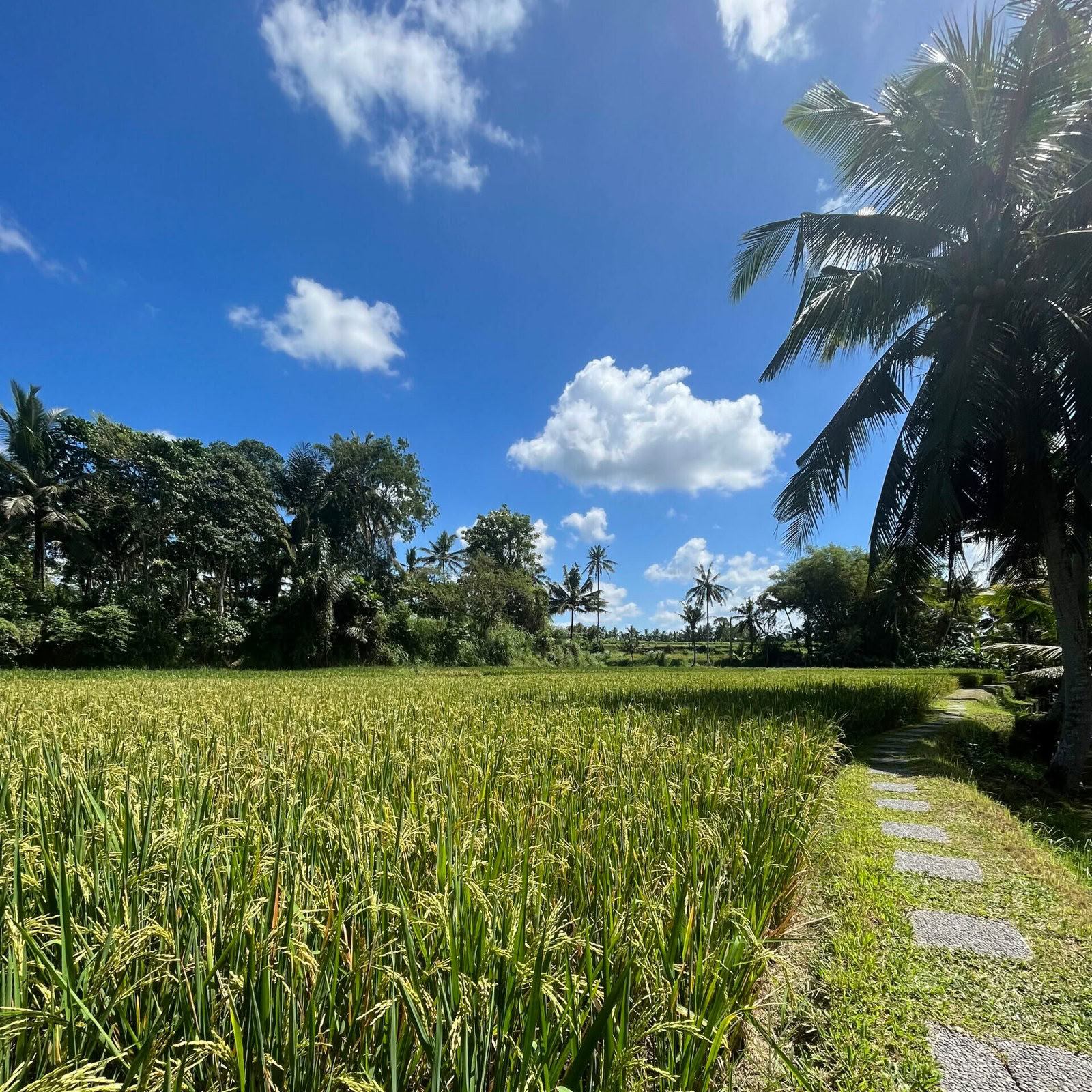 5 Day Balance Wellness Escape
