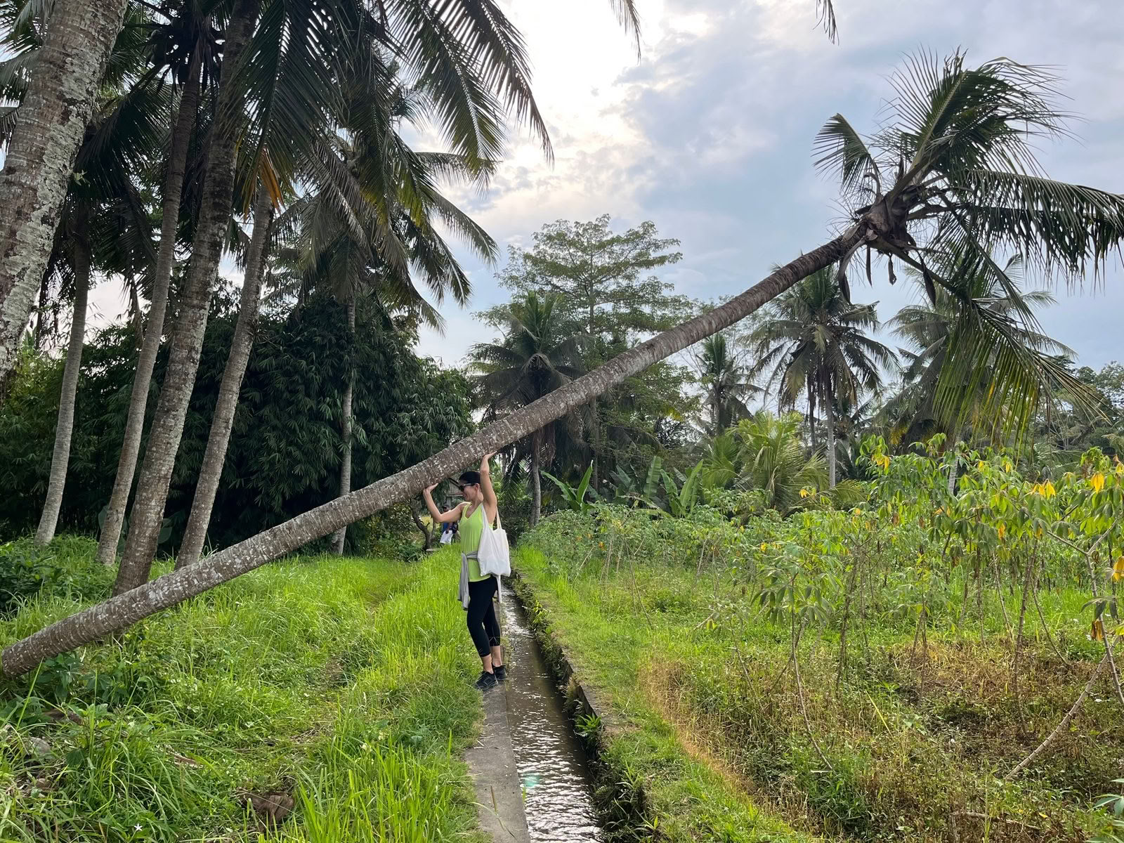 3 Day Rejuvenation Escape