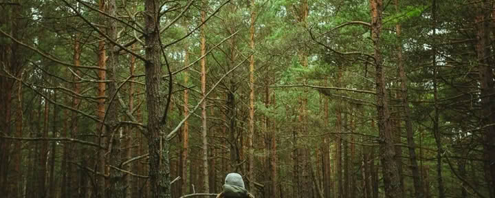 Solo Retreat