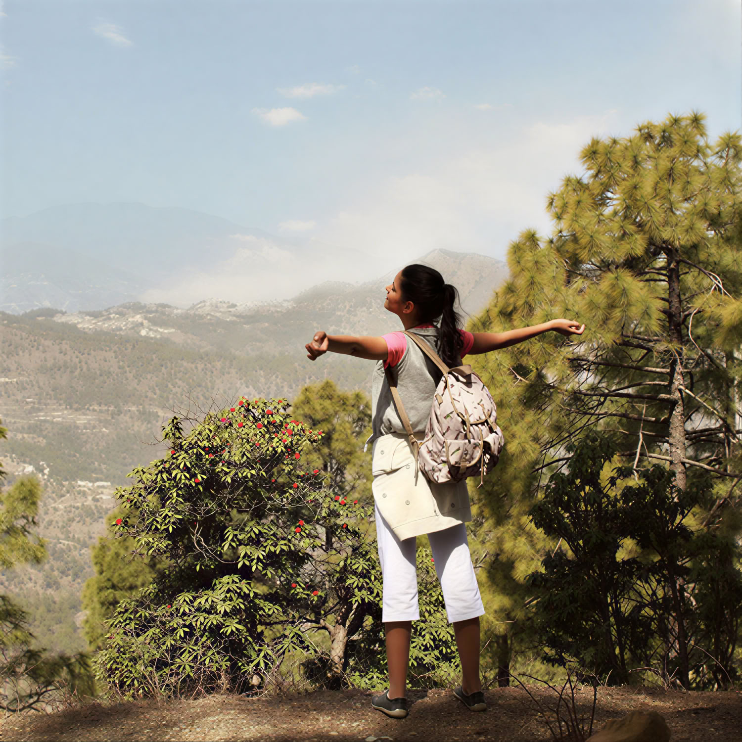 Ananda in the Himalayas